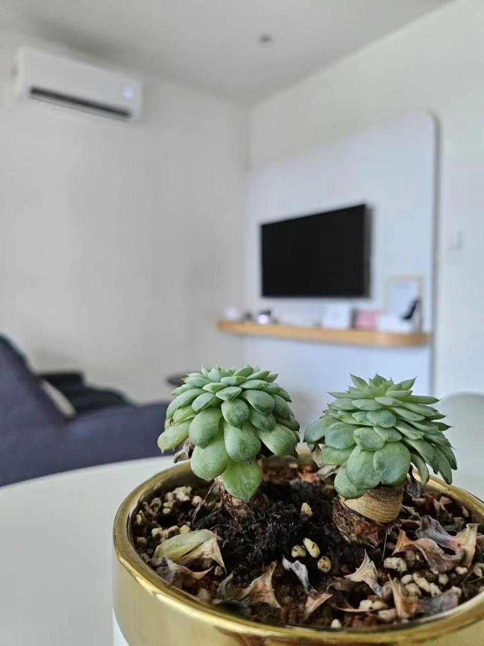 Cityview Studio Apartment At Kota Kinabalu City Centre מראה חיצוני תמונה